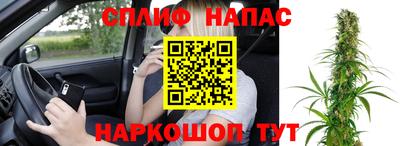 тгк Обнинск