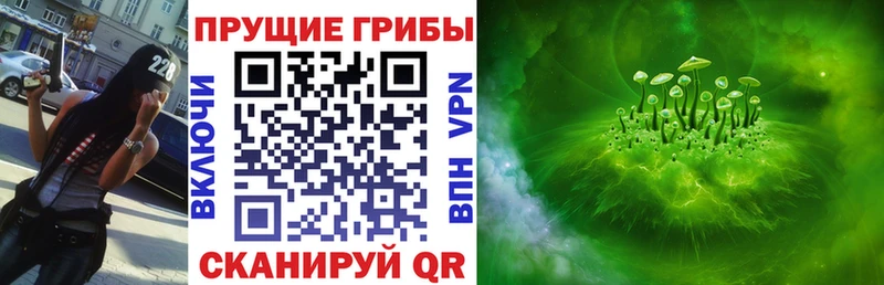 Галлюциногенные грибы Psilocybe Орск