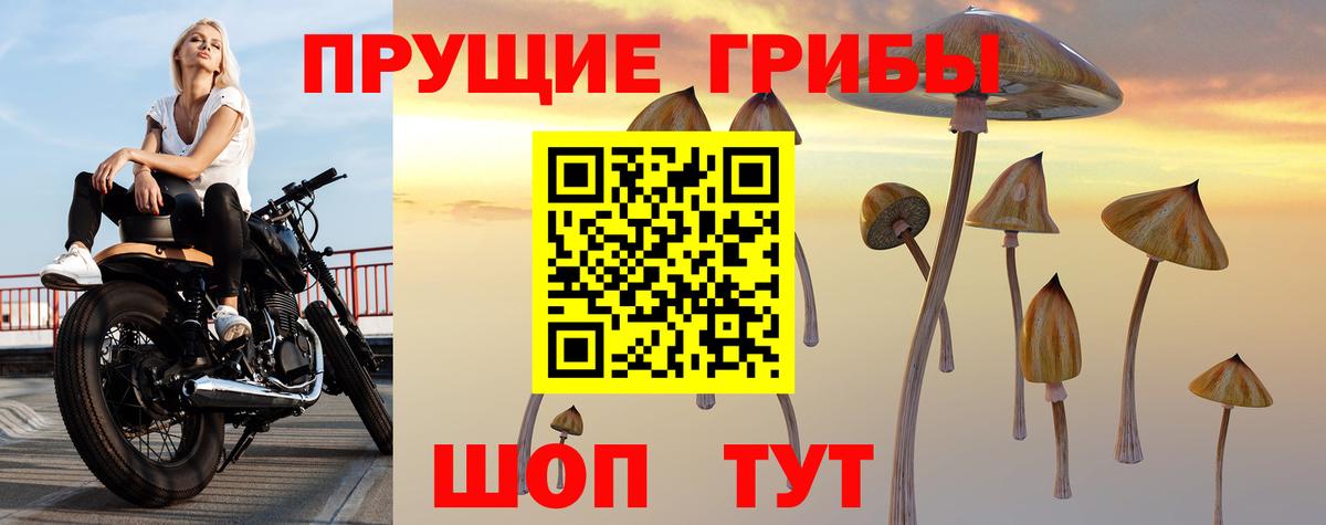 Орск  Псилоцибиновые грибы мицелий  Псилоцибиновые грибы Magic Shrooms  Вход с VPN 